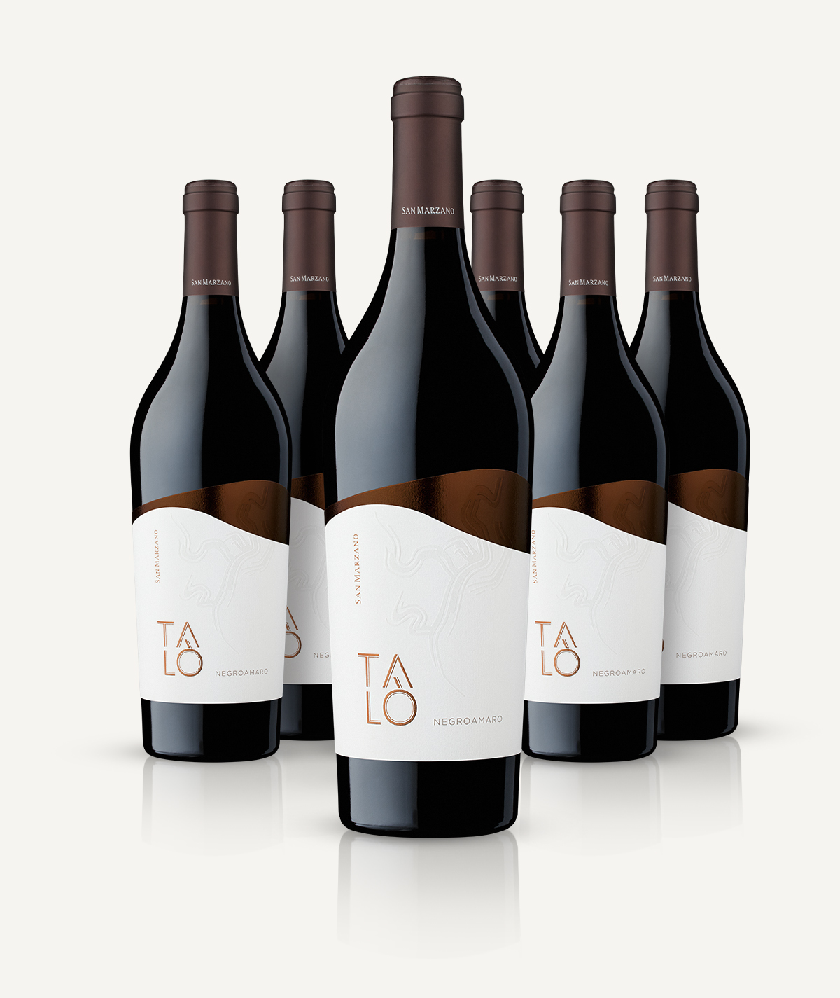 cantine-san-marzano-tal-negroamaro-salento-igp-rotwein-6er-box image 3