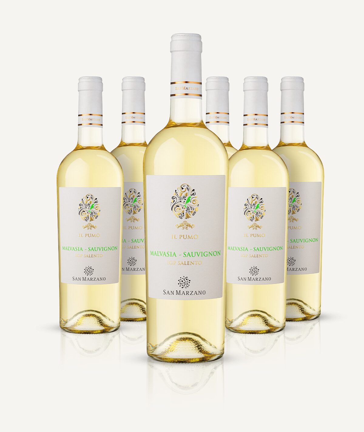 cantine-san-marzano-il-pumo-malvasia-sauvignon-salento-igp-box-6-flaschen image 3