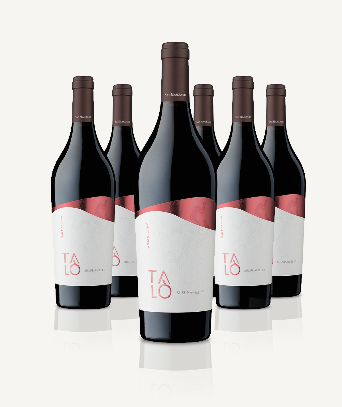 cantine-san-marzano-tal-susumaniello-salento-igp-6er-box image 3