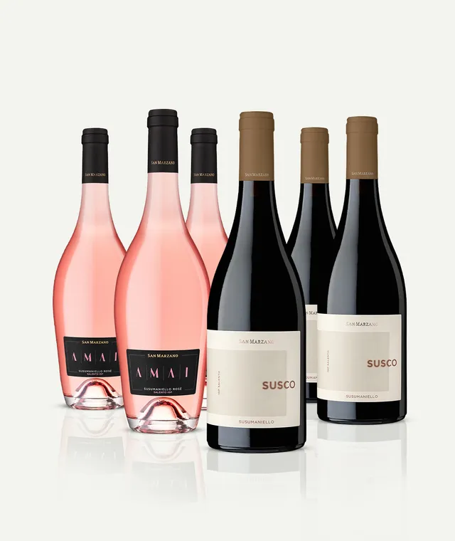 cantine-san-marzano-box-degustazione-susumaniello-rot-ros image 1