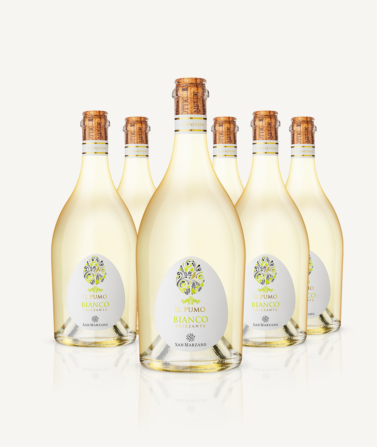 cantine-san-marzano-il-pumo-bianco-frizzante-salento-igp-6-flaschen-box image 3