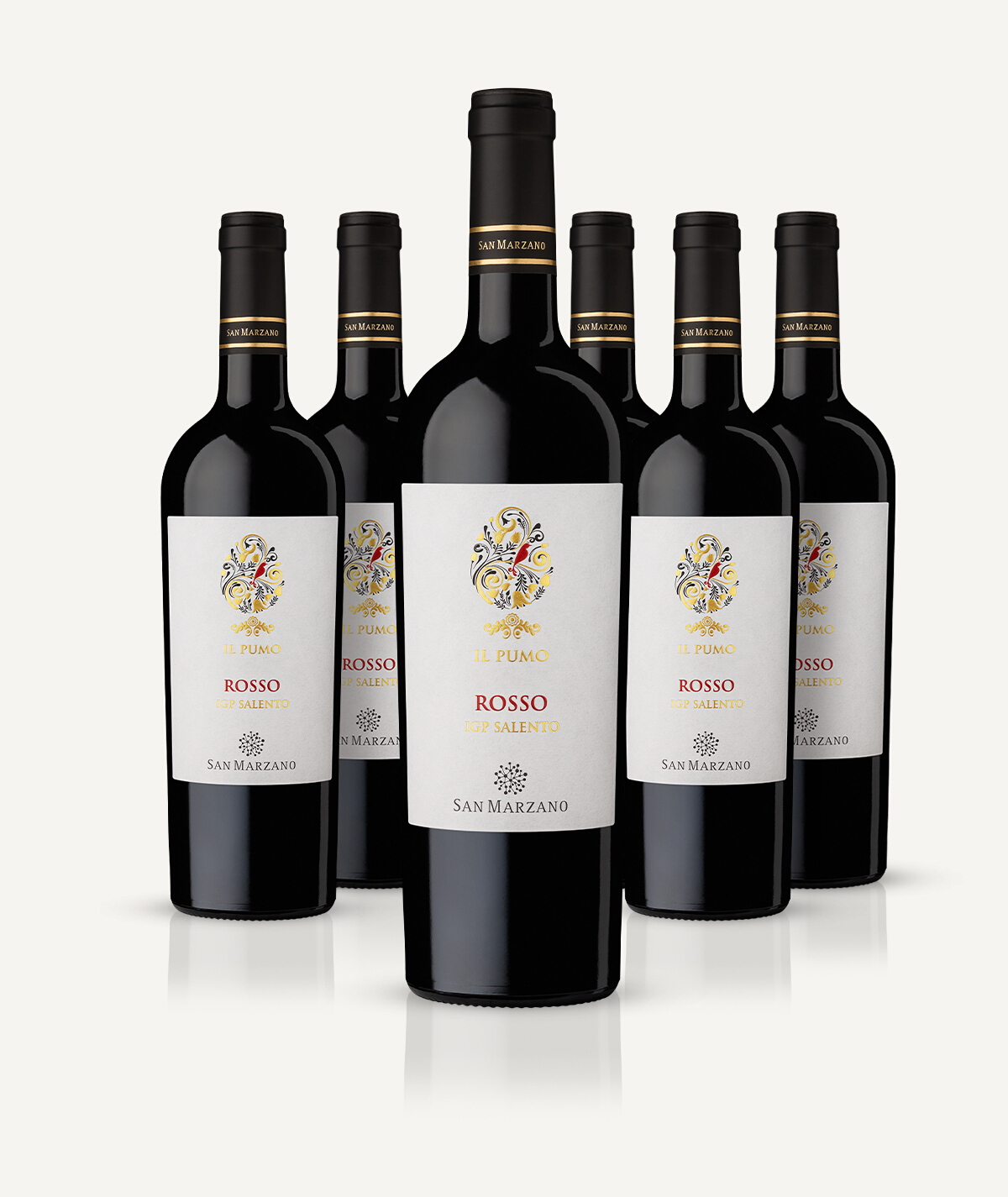 cantine-san-marzano-il-pumo-rosso-salento-igp-rotwein-6er-box image 3