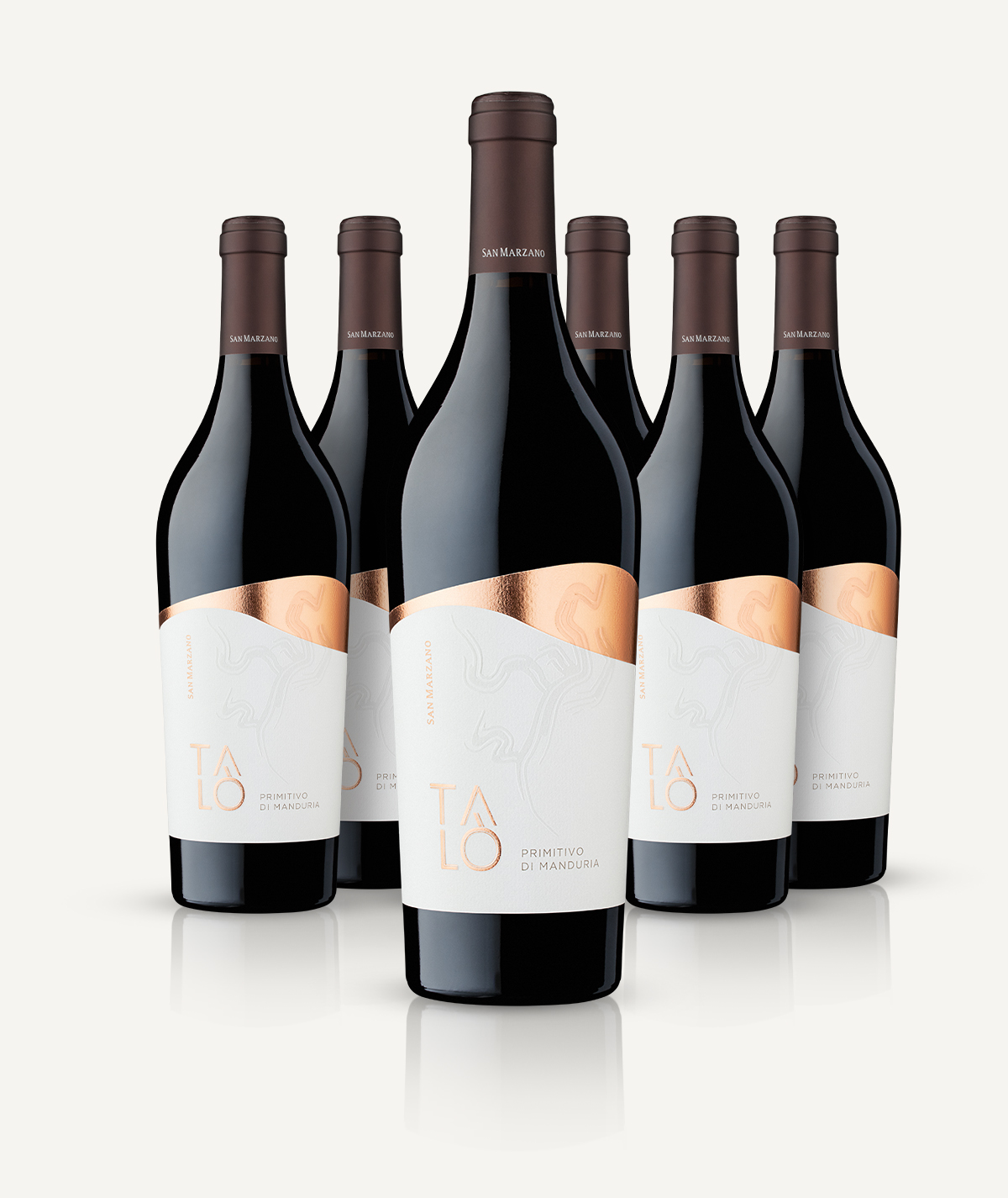 cantine-san-marzano-tal-primitivo-di-manduria-dop-rotwein-6er-box image 3