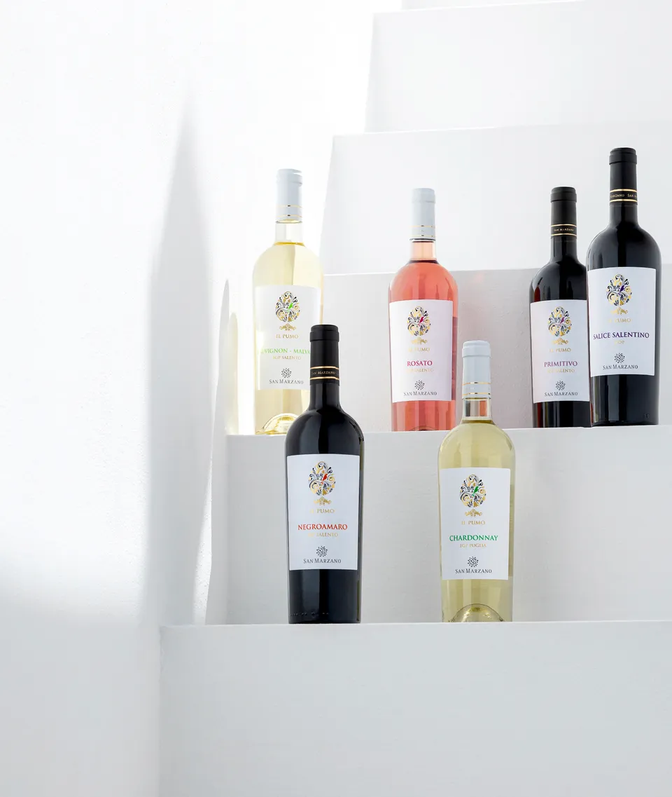 cantine-san-marzano-box-degustazione-il-pumo-6er-verkostung image 1