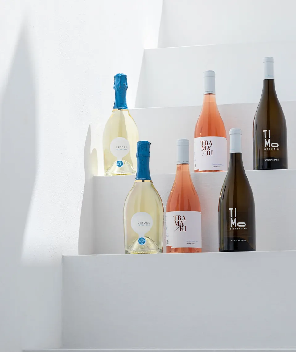 cantine-san-marzano-box-degustazione-estate-spumante-vermentino-ros-probierset image 1