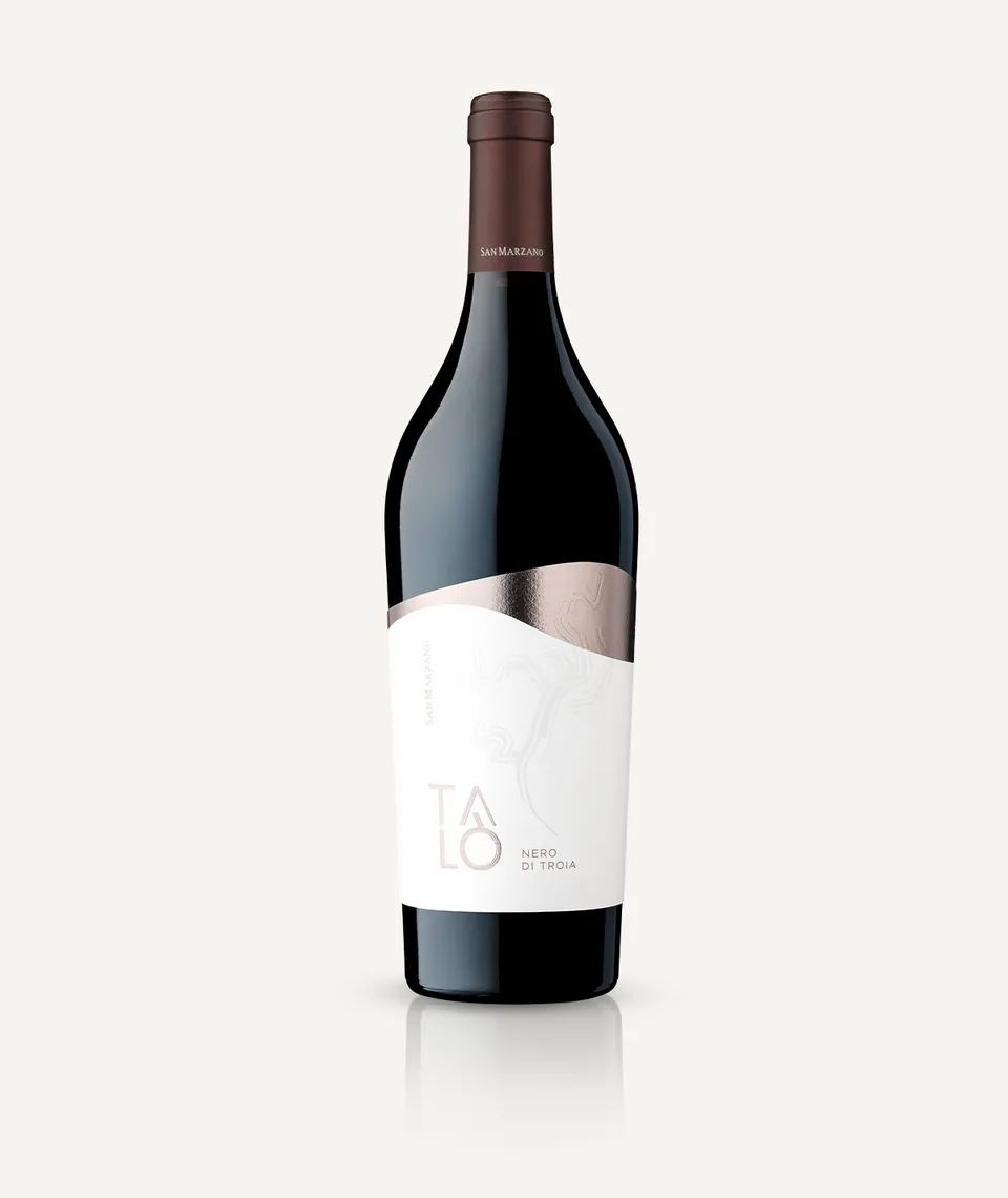 cantine-san-marzano-tal-nero-di-troia-puglia-igp-rotwein-6er-box image 1