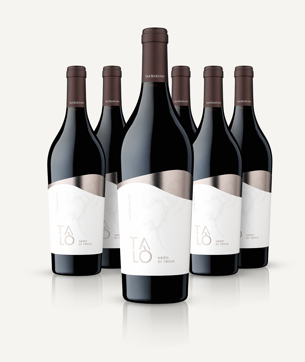 cantine-san-marzano-tal-nero-di-troia-puglia-igp-rotwein-6er-box image 3