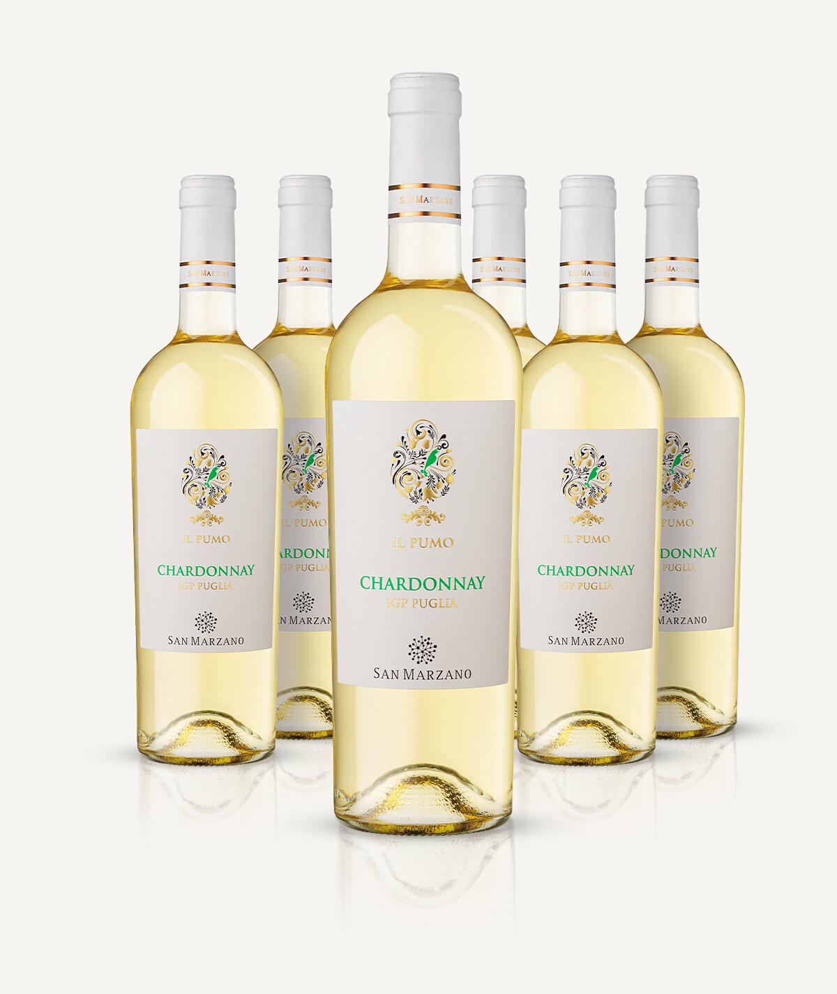 cantine-san-marzano-il-pumo-chardonnay-puglia-igp-wei-wein-6-flaschen-box image 3