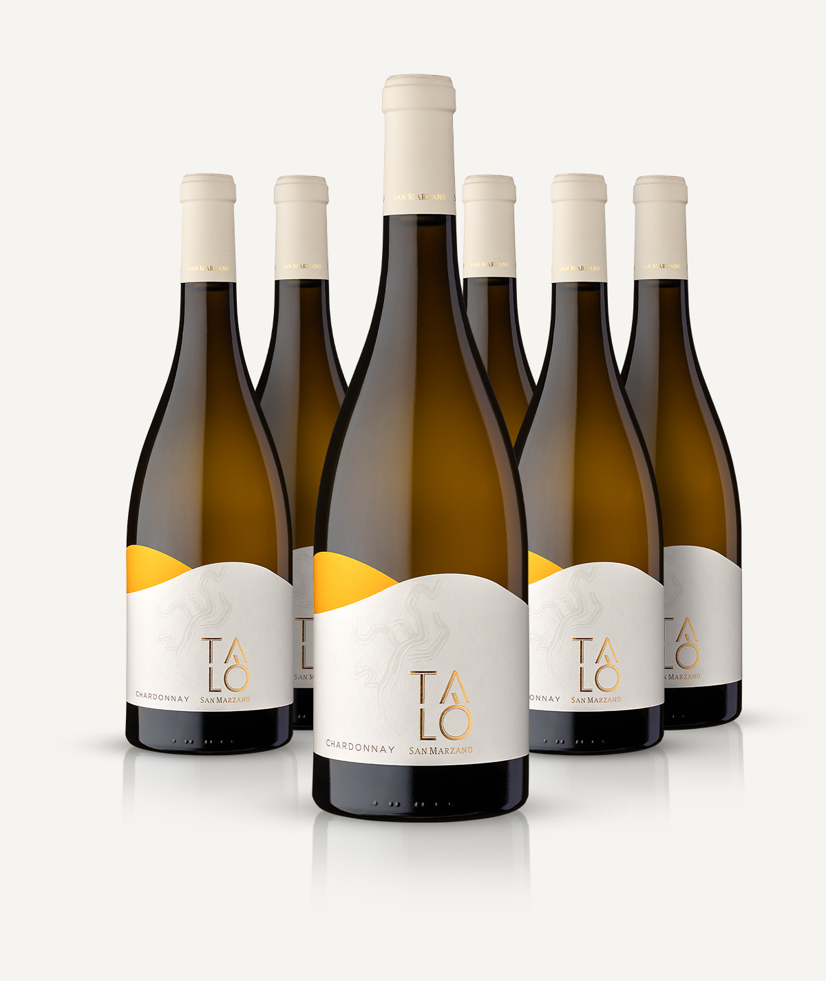 cantine-san-marzano-tal-chardonnay-puglia-igp-wei-wein-box-da-6-flaschen image 3