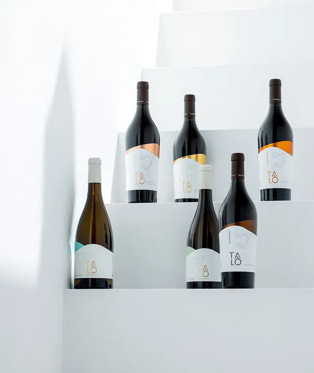 cantine-san-marzano-tal-box-degustazione-6-weine-salento-puglia image 1