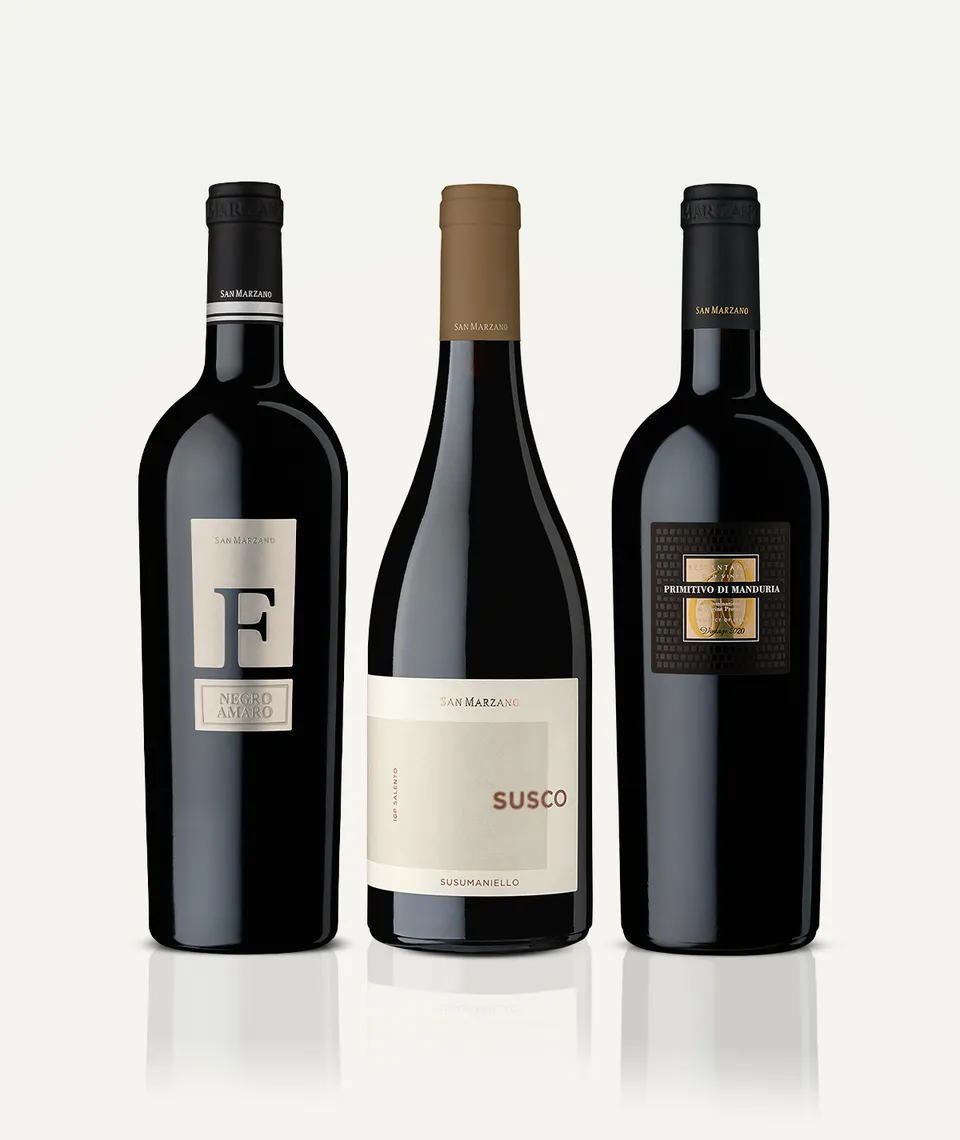 cantine-san-marzano-box-degustazione-top-autoctoni-3-flaschen image 1